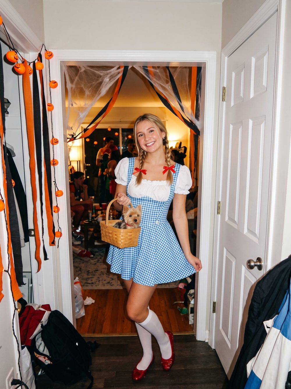 Woman dressed as Dorothy from The Wizard of Oz in a blue gingham dress with braids, red sequin shoes and a basket with a small dog